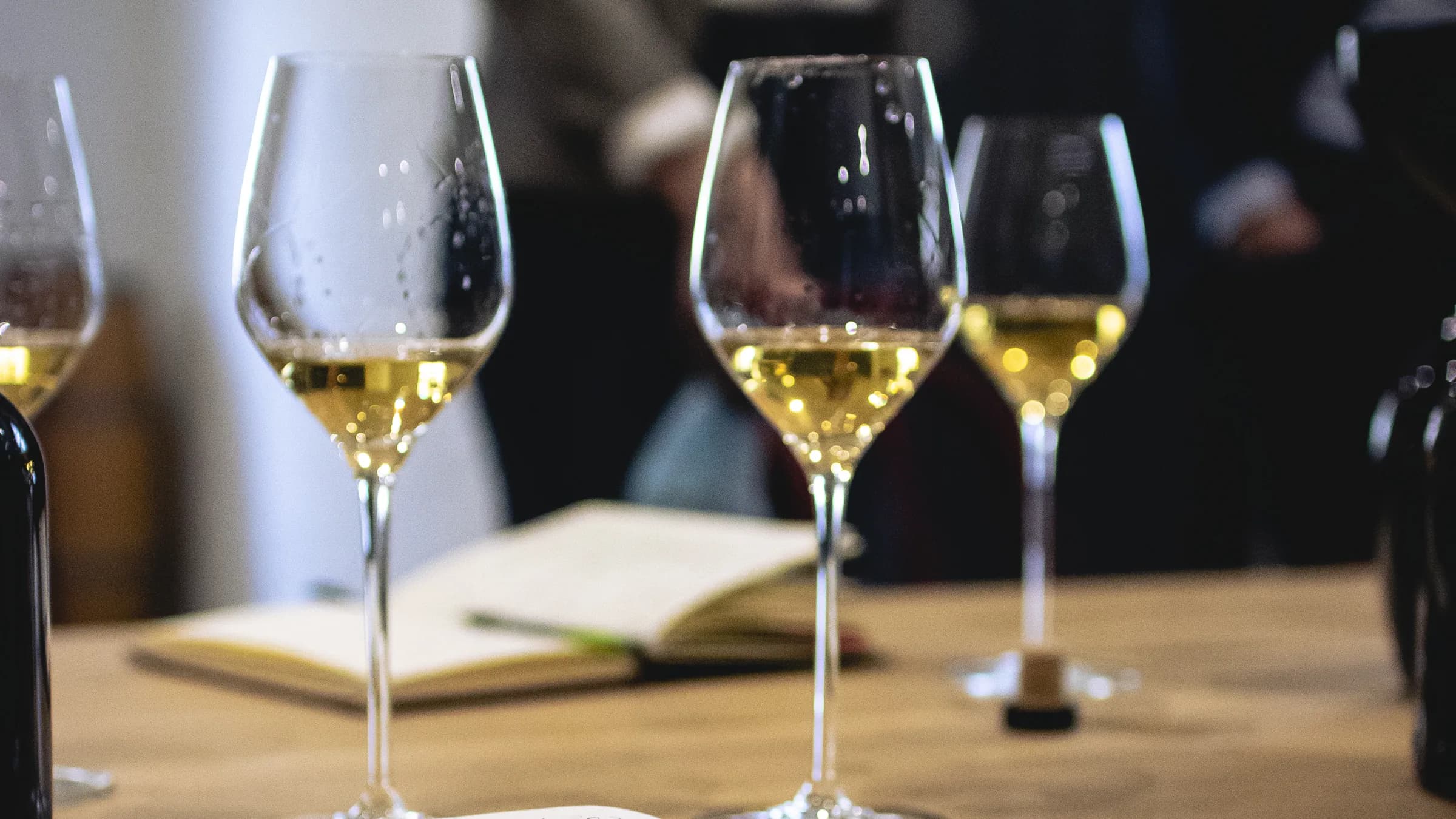 Dégustation professionnelle de vins à Beaune